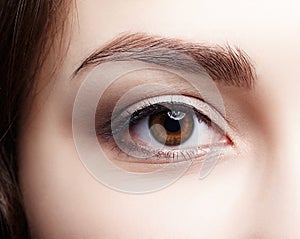 Closeup macro shot of human brown female eye. Woman with natura