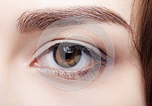 Closeup macro shot of  human brown female eye. Woman with natural nude face beauty makeup