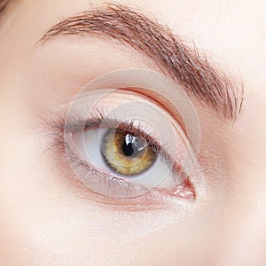 Closeup macro shot of human female eye with makeup