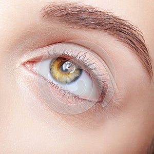 Closeup macro shot of human female eye with makeup