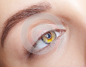 Closeup macro shot of human female eye with makeup