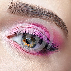 Closeup macro shot of human female eye with pink eyes shadows