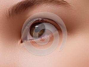 Closeup macro shot of human female eye . Woman with natural evening vogue eye beauty makeup . Girl with