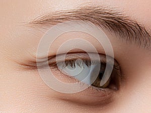 Closeup macro shot of human female eye . Woman with natural evening vogue eye beauty makeup . Girl with