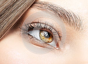 Closeup macro shot of blue human woman eye