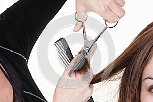 Closeup macro shot image hairstylist hairdresser cut customer woman hair in salon with scissors and comb