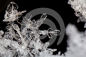 Closeup Macro Snowflake