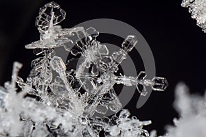 Closeup Macro Snowflake