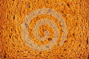Closeup macro of toasted bread slice