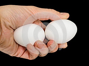 Closeup of a male hand, with a pair of white hen eggs