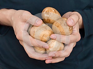 Closeup of man hands holding potatos