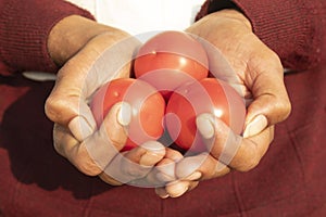 Closeup of a man holding a bunch of tomatoes