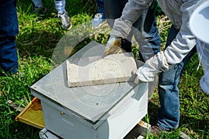 Closeup of a man putting a stone slab on the roof of a beehive.