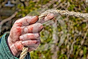 Closeup of man`s hand working gardener keeps the rope. Male hand is calloused and bruised. Tinted.
