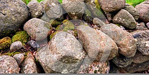 Closeup of many big rocks covered in lichen. Landscape of green moss contrasting on pile of weathered stones in the wild