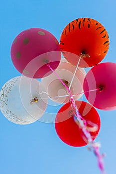 Many bright baloons in the blue sky