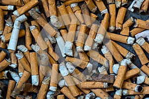 Closeup of many dirty cigarettes