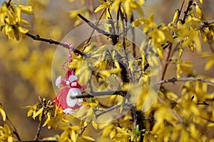 Closeup of martenitsa Pijo and Penda tied on yellow blossomed flowers bush Forsythia, Sofia, Bulgaria photo