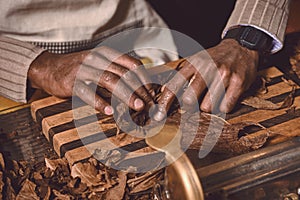 Closeup of mens hands making cigar from tobacco leaves. Traditional manufacture of cigars.