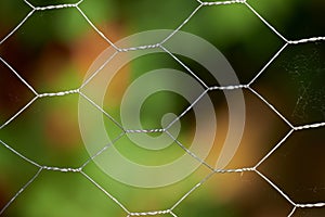 Closeup of a mesh metal fence with blur garden in the background. Details of a steel iron gate around a park. Mesh metal