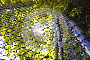 Closeup of metal rabitz grid. Mesh texture against green meadow.