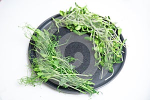 Closeup Microgreen sprouts baby beans pea and sunflower on white isolated background