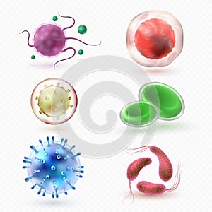 Closeup microscopic body virus cells and bacteria isolated vector set