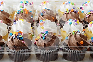 Closeup mini chocolate and vanilla cupcakes