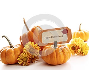 Closeup of mini pumpkins with place card