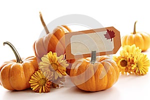 Closeup of mini pumpkins with place card