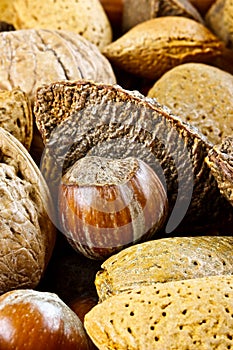 Closeup of mixed nuts