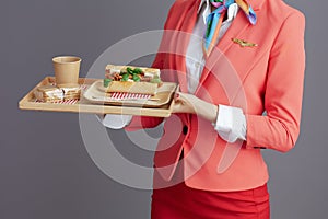 Closeup on modern flight attendant asian woman isolated on gray