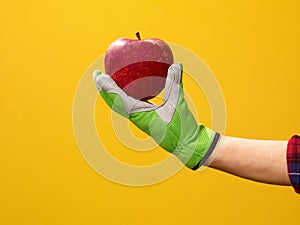 Closeup on modern woman grower showing an apple