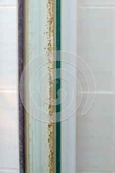 Closeup of the moss stains on the rubber seal of the shower enclosures