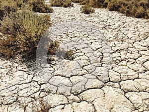 Closeup of mud cracks