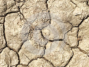 Closeup of mud cracks
