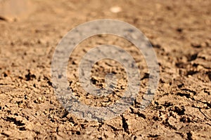 Closeup of mudcracks under the sunlight with a blurred background