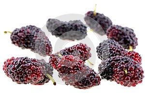 Closeup of mulberry