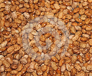 Closeup of multicolor beans in water texture