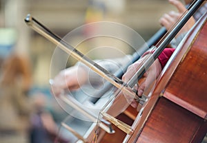Closeup of musicians hands playing on a contrabass