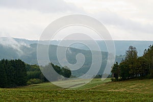 Closeup of mystical fog forest. Mist and low hanging clouds moving through trees