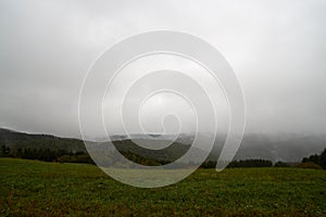 Closeup of mystical fog forest. Mist and low hanging clouds moving through trees