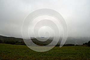 Closeup of mystical fog forest. Mist and low hanging clouds moving through trees