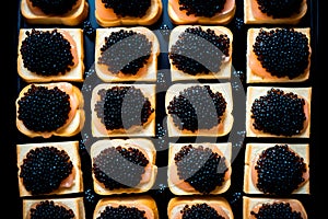 Closeup of natural black caviar served on crackers on black background, texture of fresh sturgeon caviar macro photo.