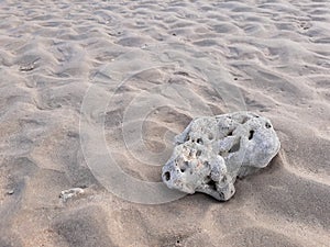 Closeup natural dead white coral on wavy sand