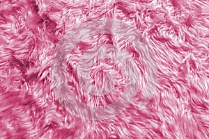 Closeup of Natural Soft Romantic Pastel Pink Animal Fluffy Fur Wool Texture for Luxury Furniture Material or Background Text photo