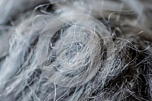 closeup of a needle felting process with a gray roving