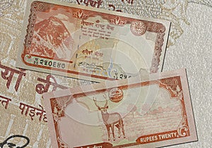 Closeup of a Nepalese ruppee banknote.