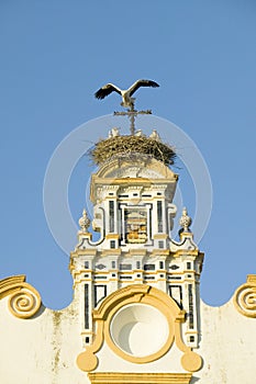 Closeup of nesting European storks on white cathedral tower with beautiful sunlight in village of Southern Spain off highway A49