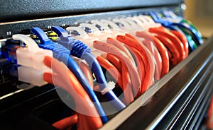 Closeup of Network Cables in Server Room